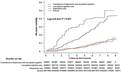 Frontiers | The Combined Associations Of Depression And Cognitive ...